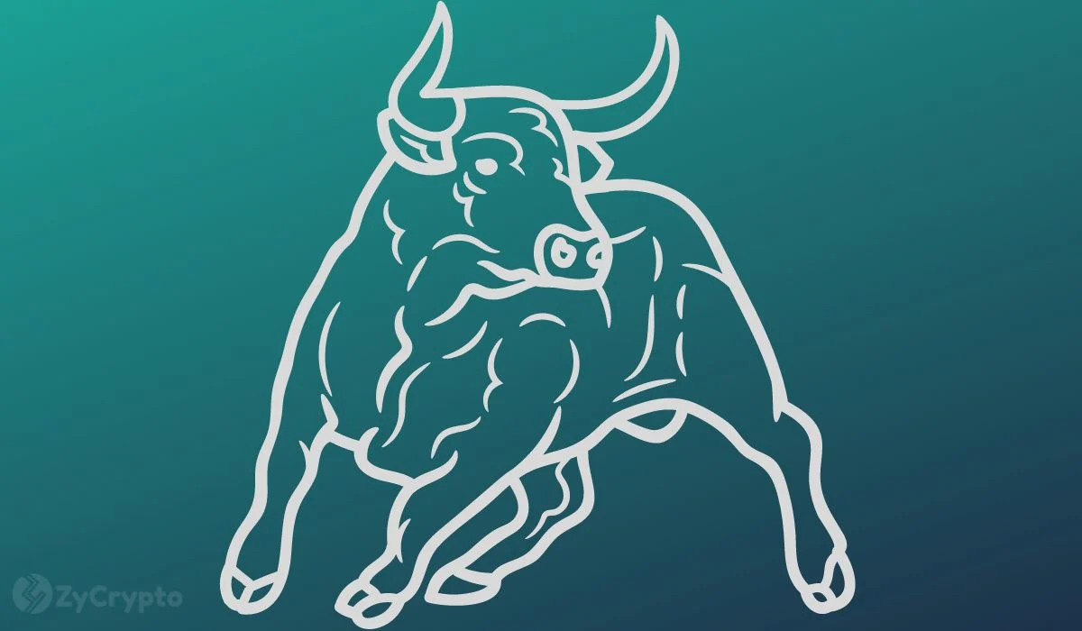 Bitcoin Targets $300,000 Amidst Predictions of a Significant Pre-Rally Correction