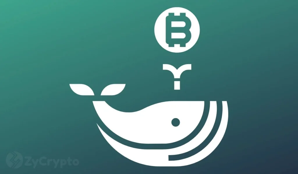 A Mammoth Bitcoin Whale Has Passed Away And Everyone’s Left With One Troubling Question