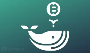 A Mammoth Bitcoin Whale Has Passed Away And Everyone’s Left With One Troubling Question