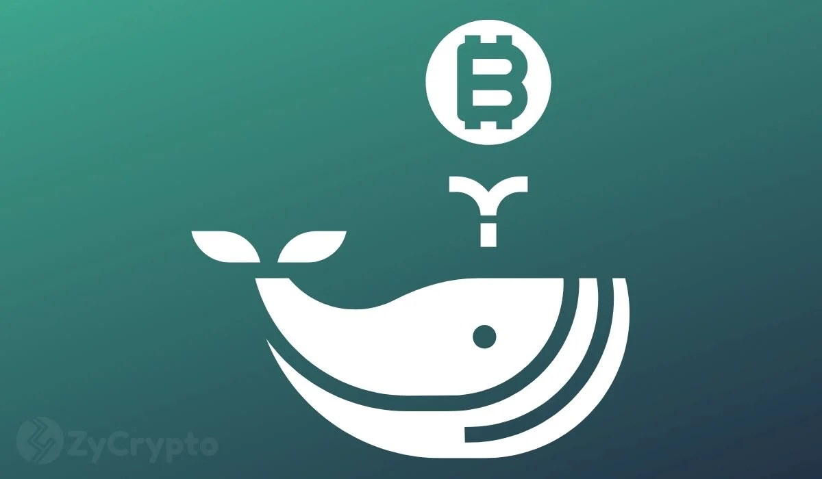 A Mammoth Bitcoin Whale Has Passed Away And Everyone’s Left With One Troubling Question