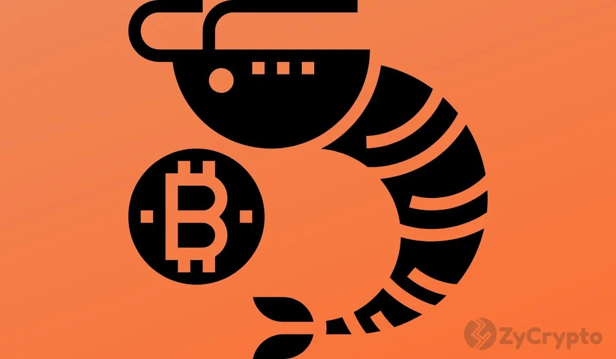 As Traditional Investors Flood the Bitcoin Market, Pundit Warns Of Risk On/Off Moves
