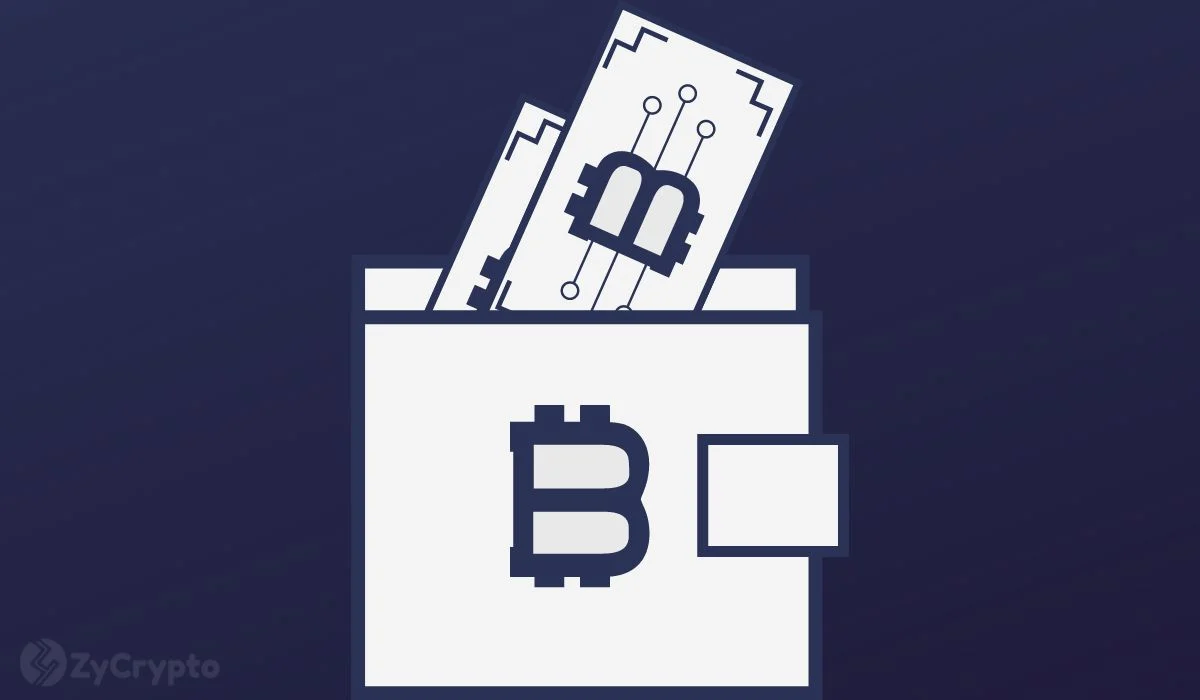 Bitcoin Predicted To Soar Past $35,000 By Summer As Wallets Holding At Least 1 BTC Hits The 1 Million Mark