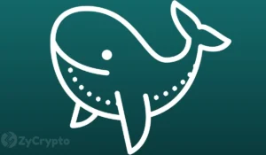 The Widening Chasm: Major Bitcoin Holders Halt Accumulation Amidst Lingering Bearish Sentiment