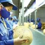 Vietnam Proposes Landmark Law to Enable Digital Assets and Intellectual Property as Collateral for SME Bank Loans