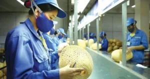 Vietnam Proposes Landmark Law to Enable Digital Assets and Intellectual Property as Collateral for SME Bank Loans