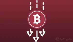 Bitcoin Price Tendency To Crash By Over 80% May Have Just Come To An End