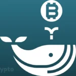 Bitcoin Rebounds Past $65,000 as Geopolitical Shifts Spark Risk Appetite and Whales Accumulate