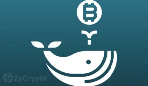 Bitcoin Rebounds Past $65,000 as Geopolitical Shifts Spark Risk Appetite and Whales Accumulate