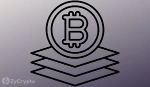 Bitcoin’s Current Downturn: Long-Term Holders Face Unprecedented Losses as Market Reaches a Critical Juncture