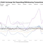 XRP Withdrawal Activity Surges on Major Exchanges While Spot ETFs Accumulate Over 1.4% of Circulating Supply