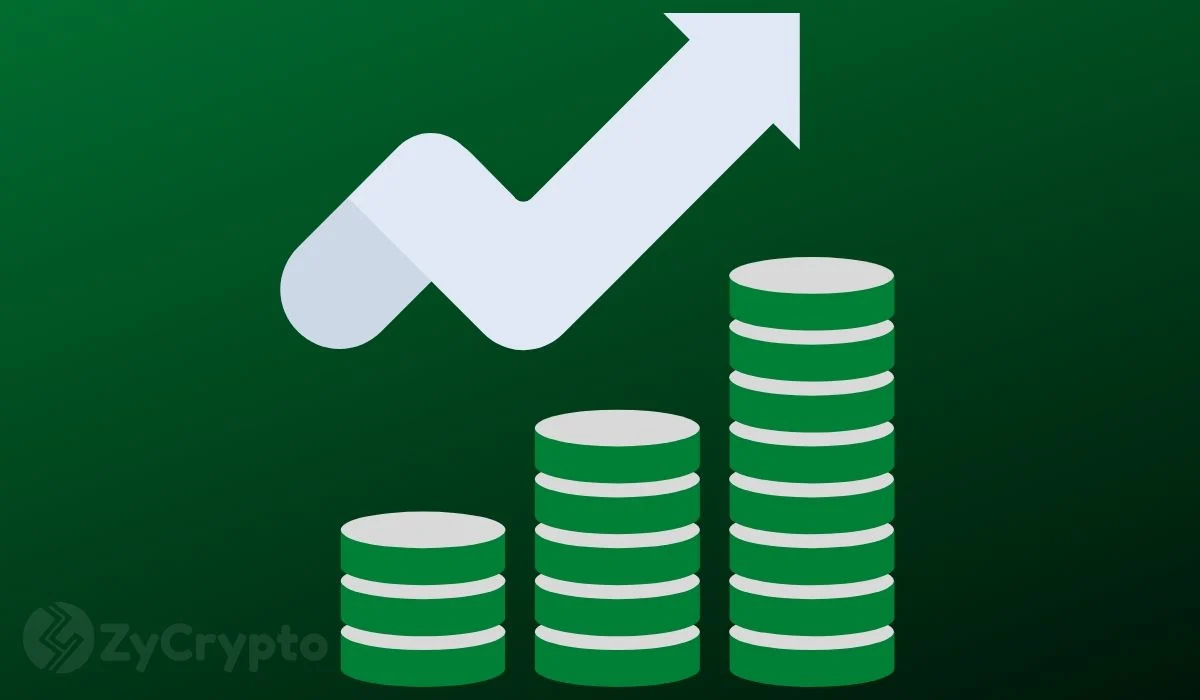 When Alt-Season? Binance Research Suggests An Altcoin Rally Might Be In Sight