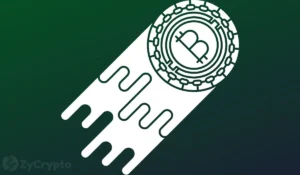 Bitcoin’s Price Bottom Remains a Key Discussion Point Amidst Market Volatility