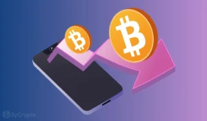 BlackRock CEO Larry Fink Sees Increased Stability in Bitcoin Market and Bullish Outlook for Broader Markets
