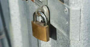 Navigating the Evolution of Privacy Networks in the Era of Institutional Blockchain Adoption
