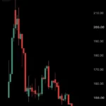The Enigma of SpaceX’s Volatility: Why the World’s Most Valuable Private Company Trades Like a Highly Speculative Meme Stock