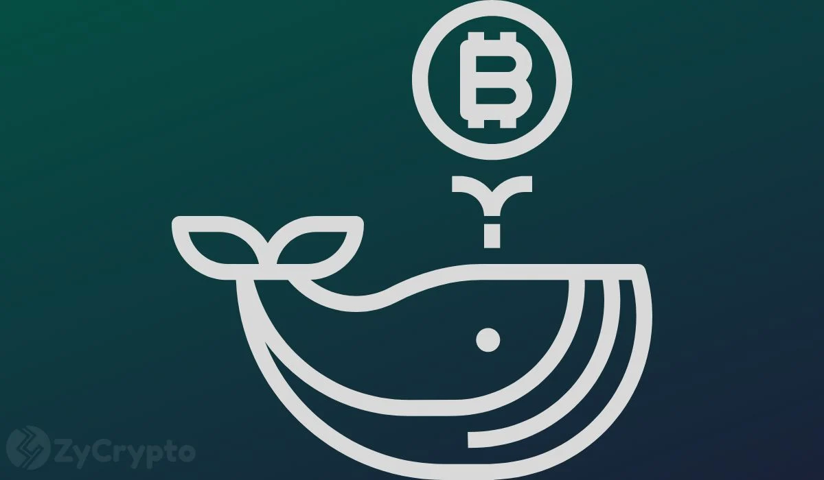 A Long-Dormant Bitcoin Whale Resurfaces After 14 Years, Moving $3.14 Million in BTC Amid Market Surge