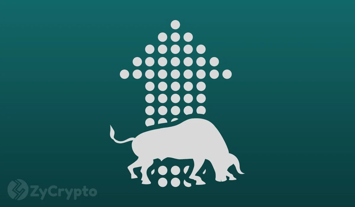 Bitcoin Bull Markets Show Increasing Traction Among Altcoins