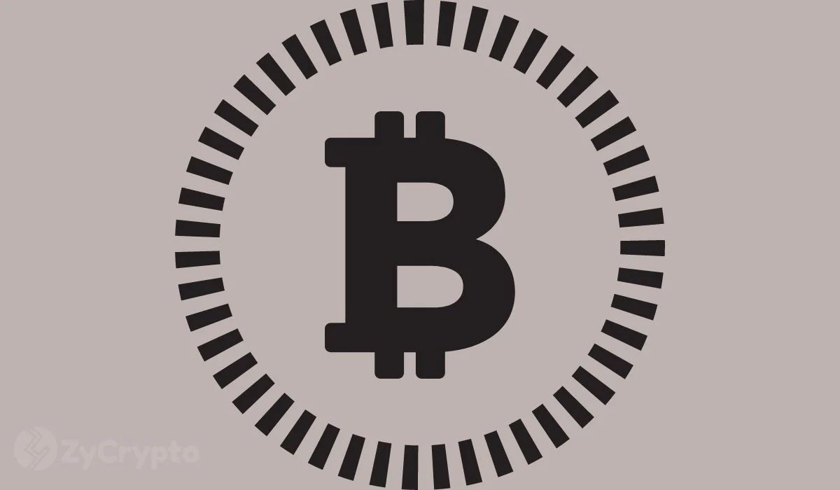 Tether CEO Spotlights Bitcoin’s Uniqueness While Citing Bearish View on Shiba Inu, PEPE, WIF, FLOKI