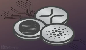 XRP Shiba Inu Cardano ETFs to Reach SECs Table Soon As Solana Makes Headway Into Wall Street