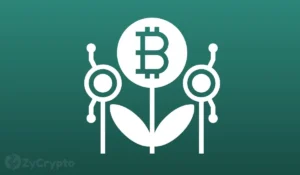 An American Entrepreneur Shares How He Missed Out On Making $25 Million From A $100K Bitcoin Investment