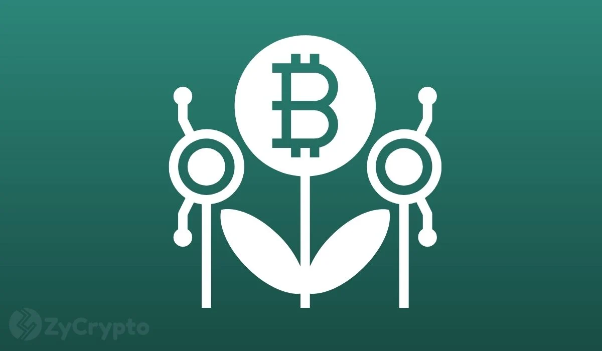 An American Entrepreneur Shares How He Missed Out On Making $25 Million From A $100K Bitcoin Investment