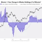 Bitcoin Whales Accumulate Aggressively As Price Slumps 20% in Three Months