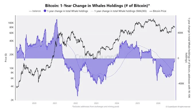 Bitcoin Whales Accumulate Aggressively As Price Slumps 20% in Three Months