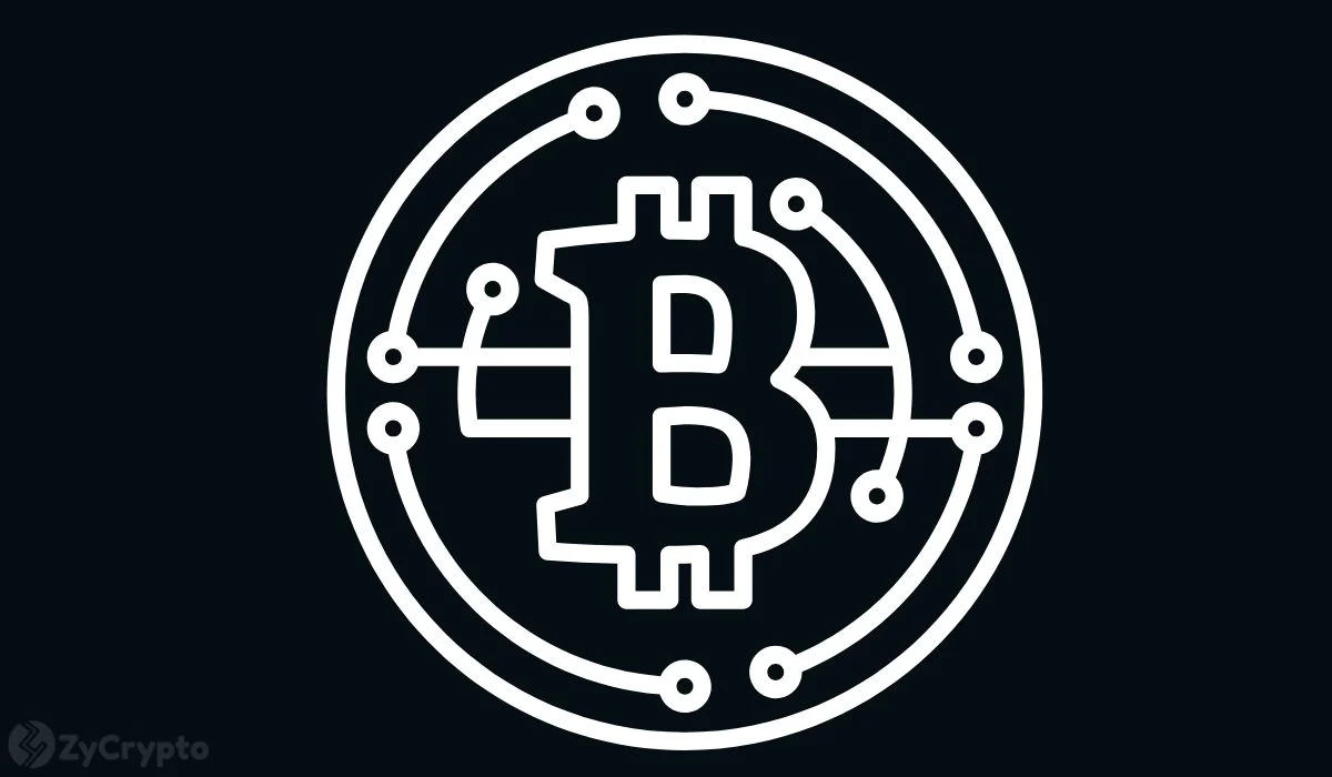 Nation-States Are Embracing Bitcoin at an Unprecedented Pace, Outstripping Individual Adoption, According to On-Chain Analyst Willy Woo