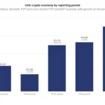 Resilience and Transition The 2026 State of the Middle East and North Africa Crypto Economy