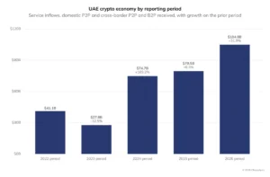 Resilience and Transition The 2026 State of the Middle East and North Africa Crypto Economy
